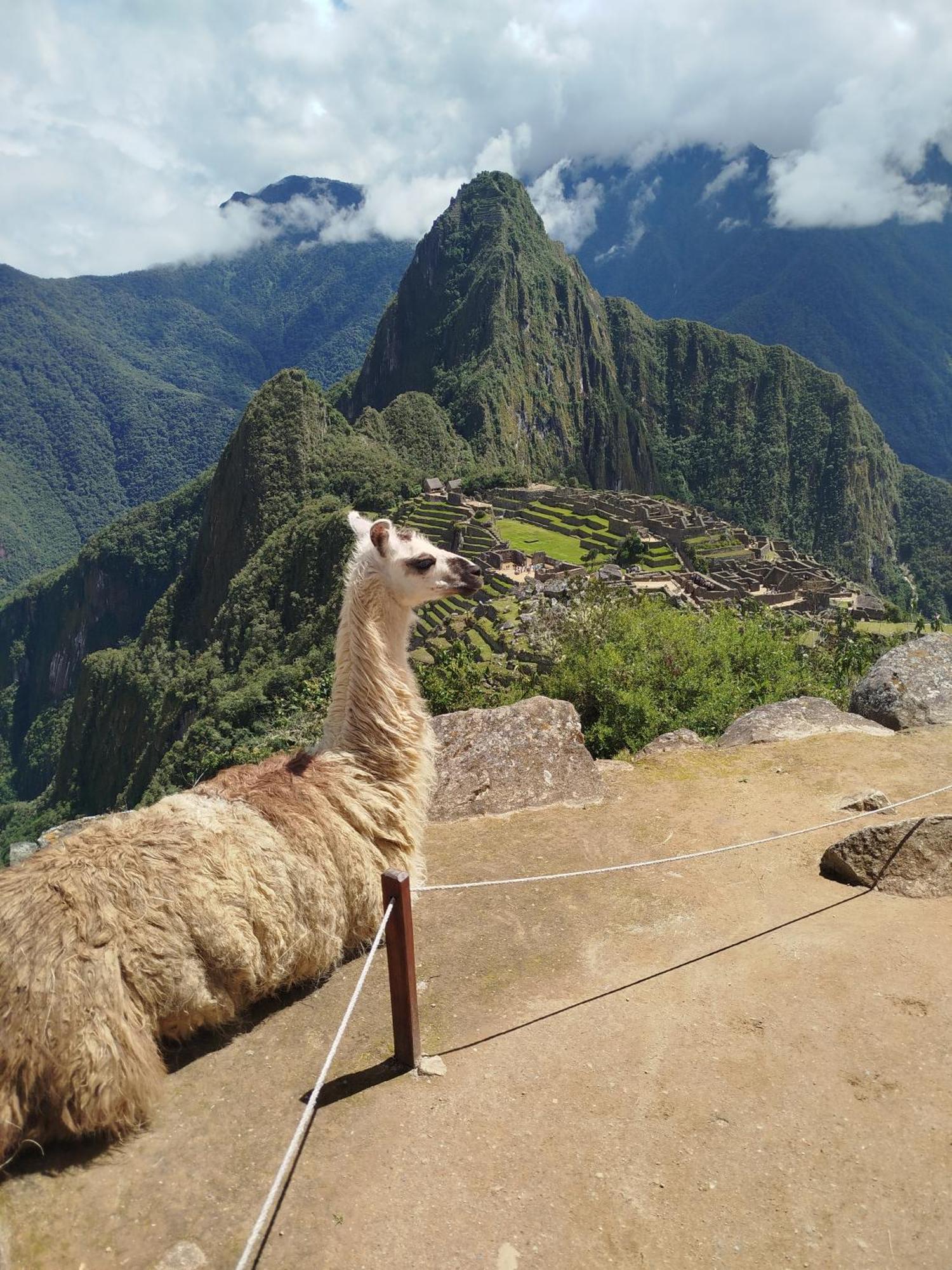 Hotel Picos House Machu Picchu Exterior foto